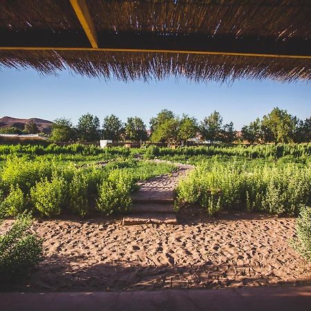 Eco-Lodge El Andinista San Pedro de Atacama Bagian luar foto