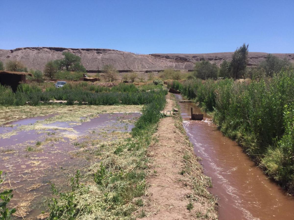 Eco-Lodge El Andinista San Pedro de Atacama Bagian luar foto