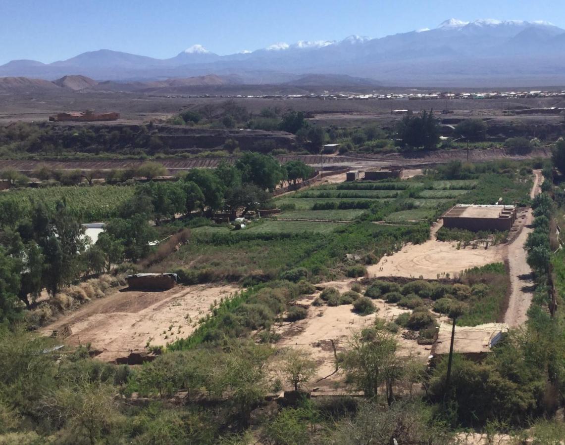 Eco-Lodge El Andinista San Pedro de Atacama Bagian luar foto
