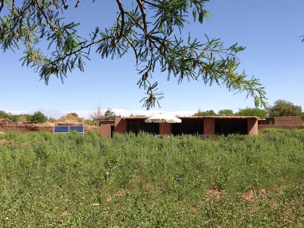 Eco-Lodge El Andinista San Pedro de Atacama Bagian luar foto
